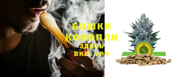 прущий лед Пестово