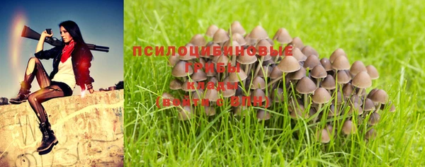 ПСИЛОЦИБИНОВЫЕ ГРИБЫ Абинск